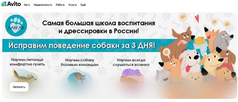 Материал проекта «Онлайн-дрессировка собак», изображение 2